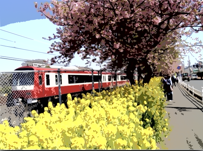 三浦海岸桜祭り2024：駐車場選び・おすすめスポット・緊急対策