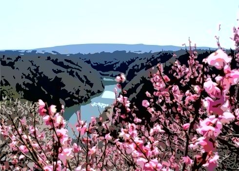 月ヶ瀬梅渓2024：駐車場は大丈夫？料金、場所、評判を公開します。